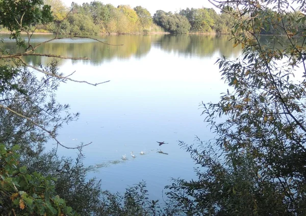 Swimming hole in Etzel