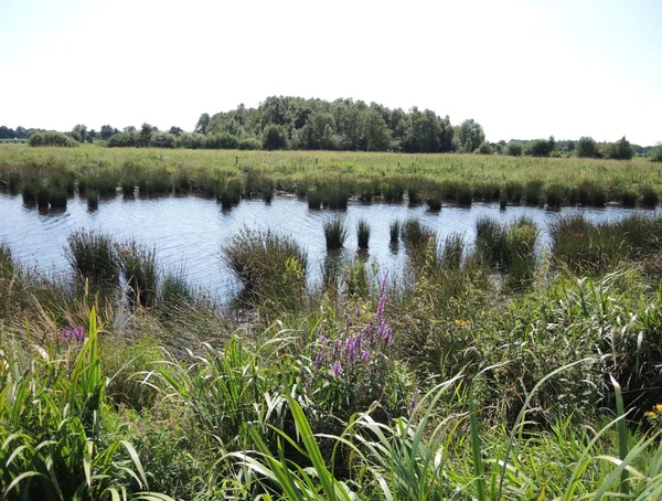 Rainwater retention basin at the Etzel site